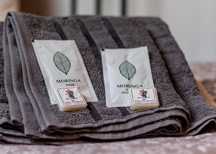 Apartment Vazov Loft -