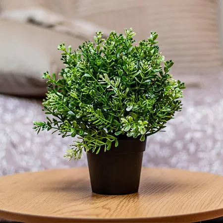 Vazov Loft - * Sofie