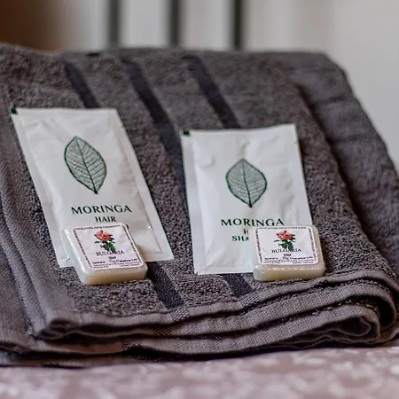 דירה Vazov Loft -